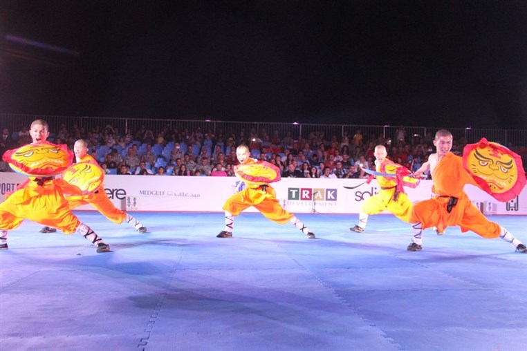 Martial Arts Festival